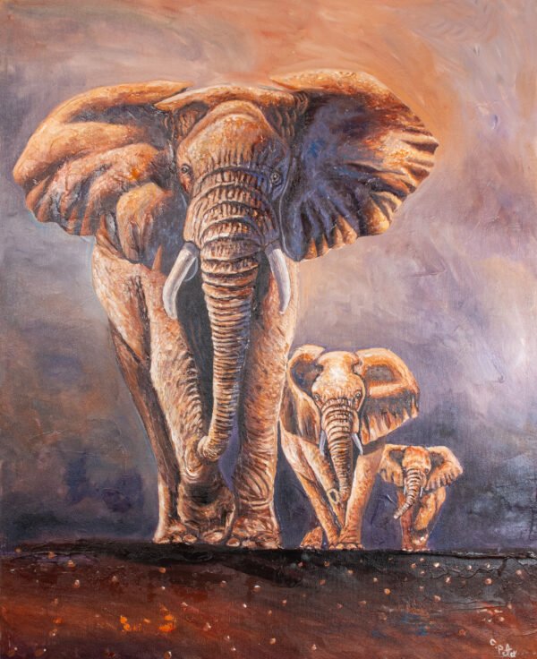 Elephant Family